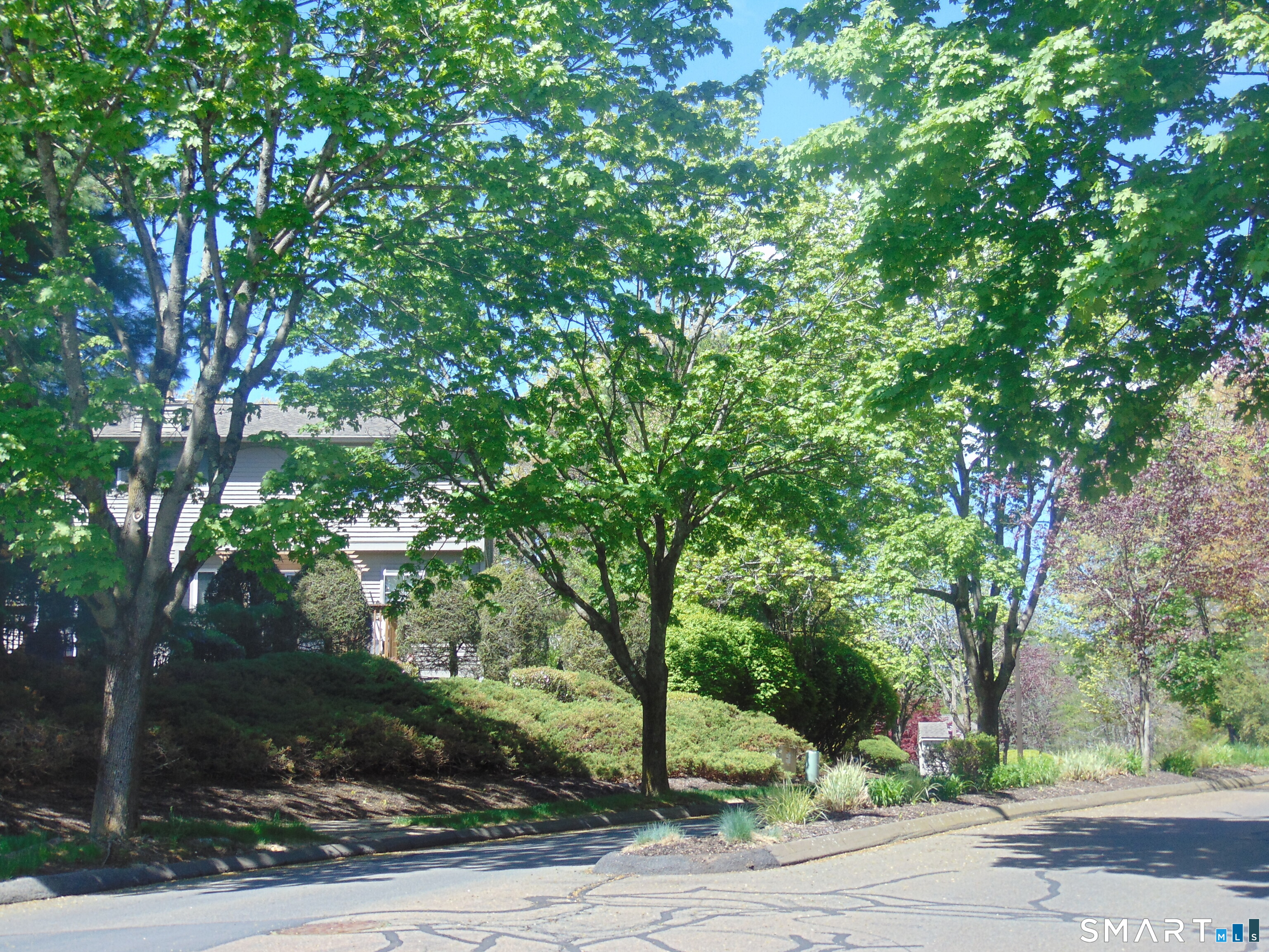 882 North Colony Road, Unit 31 Meriden, CT 06450 - Photo 2 of 34 a view of a tree in a yard