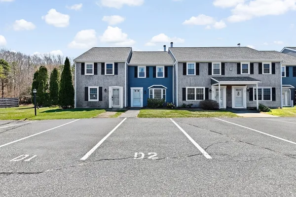 a view of a yard with plants and trees