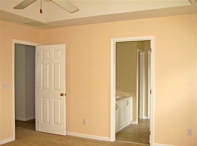 100 Roper Meadow Drive Simpsonville, SC 29681 - Photo 14 of 24 Gallery Image 14