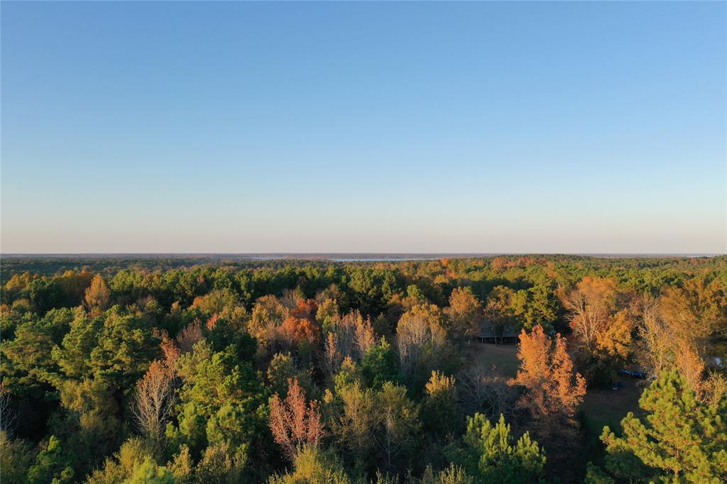 0 Co Road Douglassville, TX 75560 - Photo 20 of 35 wooden floor