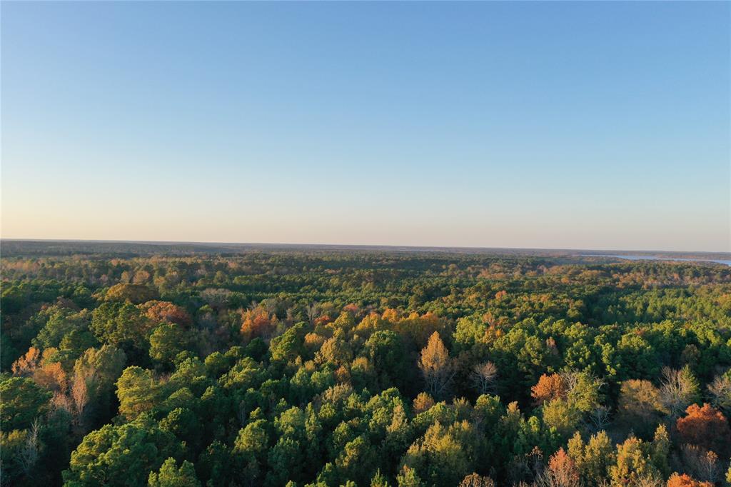 0 Co Road Douglassville, TX 75560 - Photo 26 of 35 an aerial view of multiple house