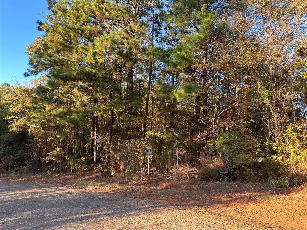 0 Co Road Douglassville, TX 75560 - Photo 28 of 35 a view of a yard