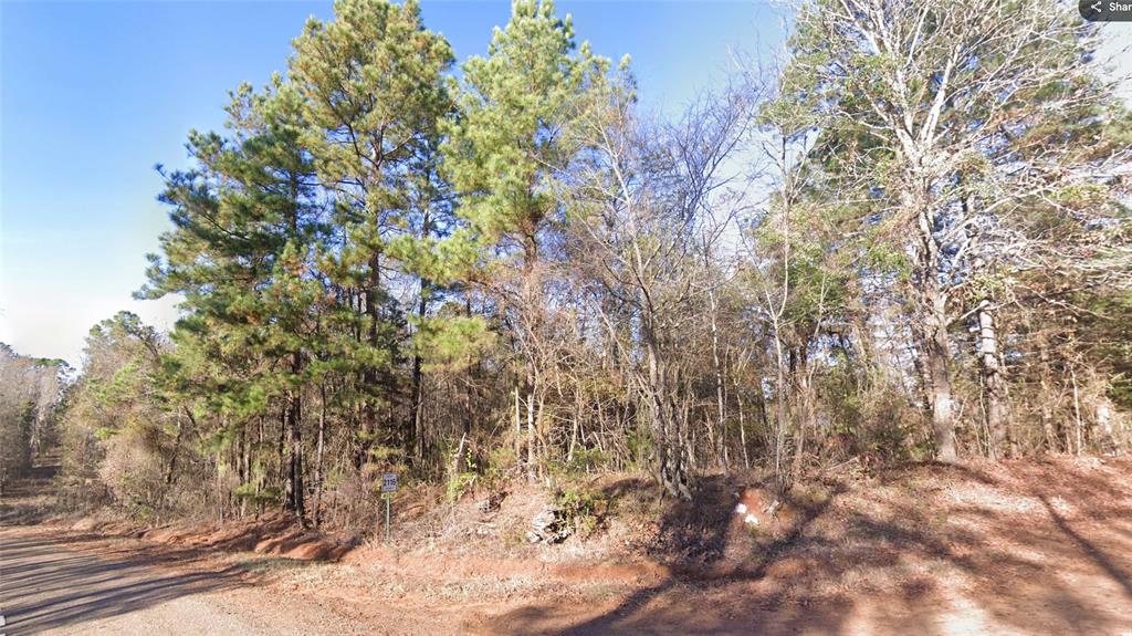 0 Co Road Douglassville, TX 75560 - Photo 3 of 35 a backyard of a house