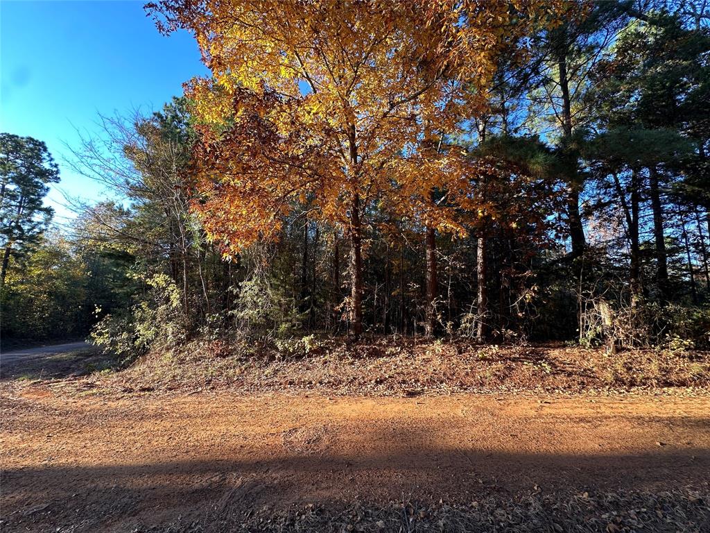 0 Co Road Douglassville, TX 75560 - Photo 32 of 35 a view of a yard covered in snow