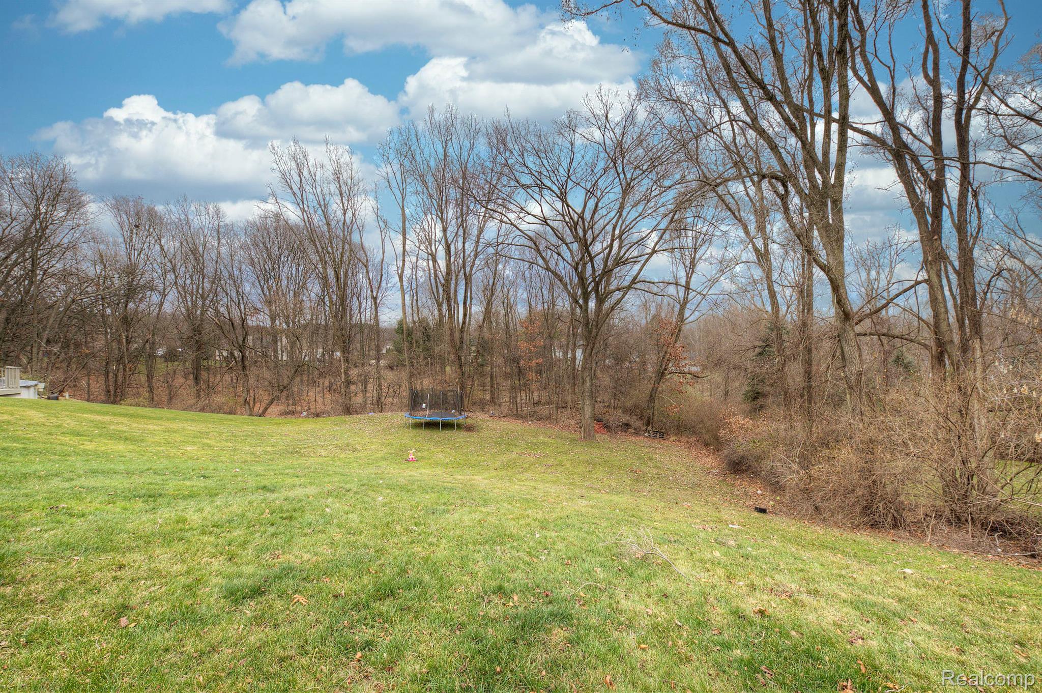 4342 Ridge Court Pinckney, MI 48169 - Photo 33 of 34 Gallery Image 33