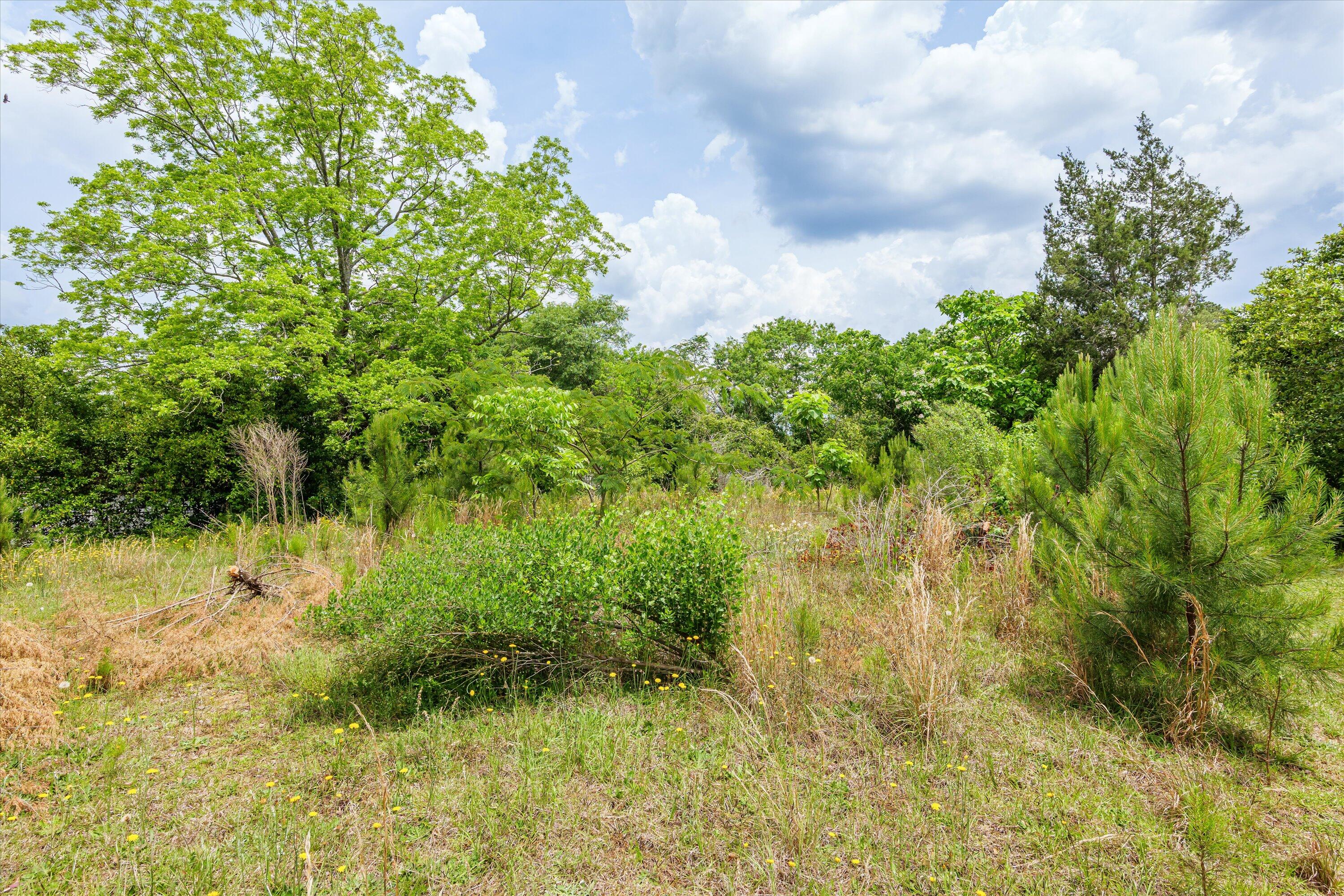 502 Katherine Street Grovetown, GA 30813 - Photo 8 of 40 22-PS520766