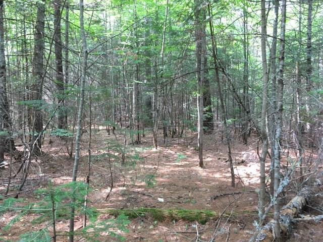 4 Callahan Road Strong, ME 04983 - Photo 5 of 6 Land view