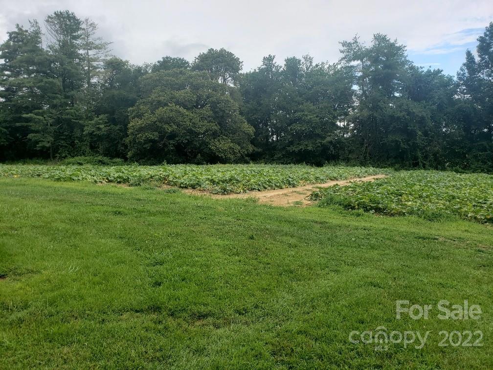 577 Tracy Grove Road Flat Rock, NC 28731 - Photo 12 of 20 Gallery Image 12