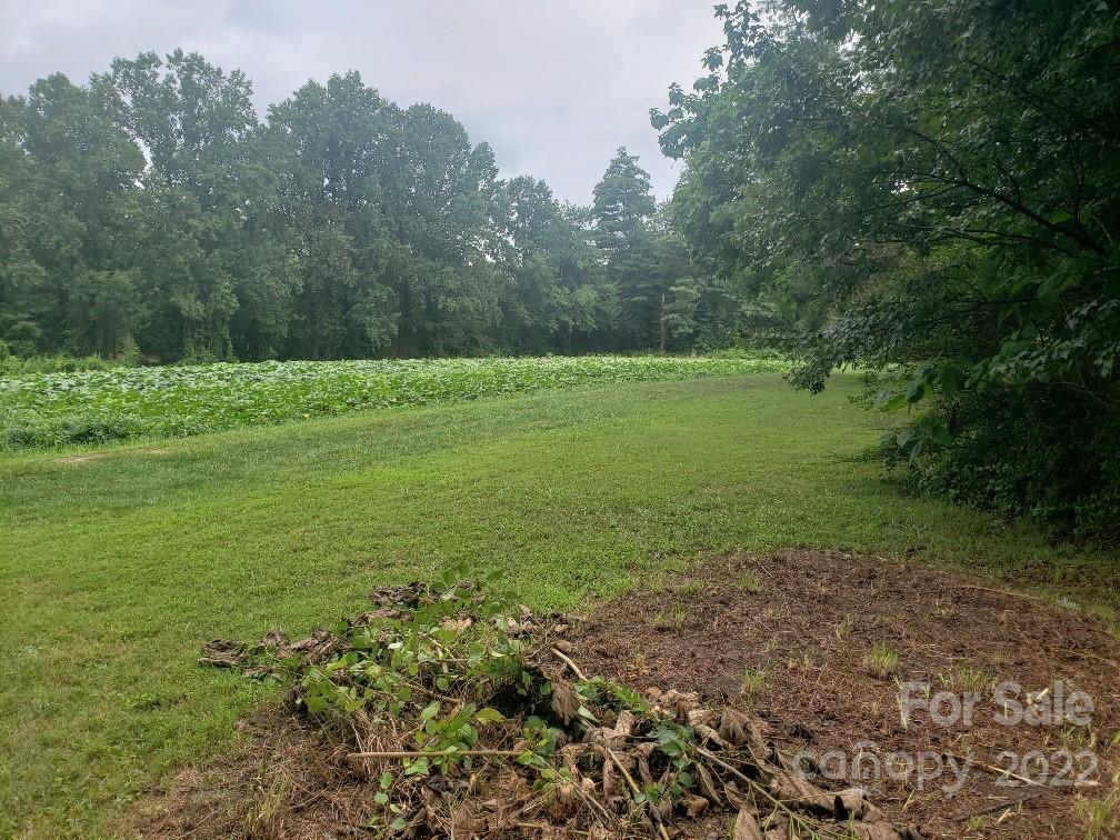 577 Tracy Grove Road Flat Rock, NC 28731 - Photo 8 of 20 Gallery Image 8