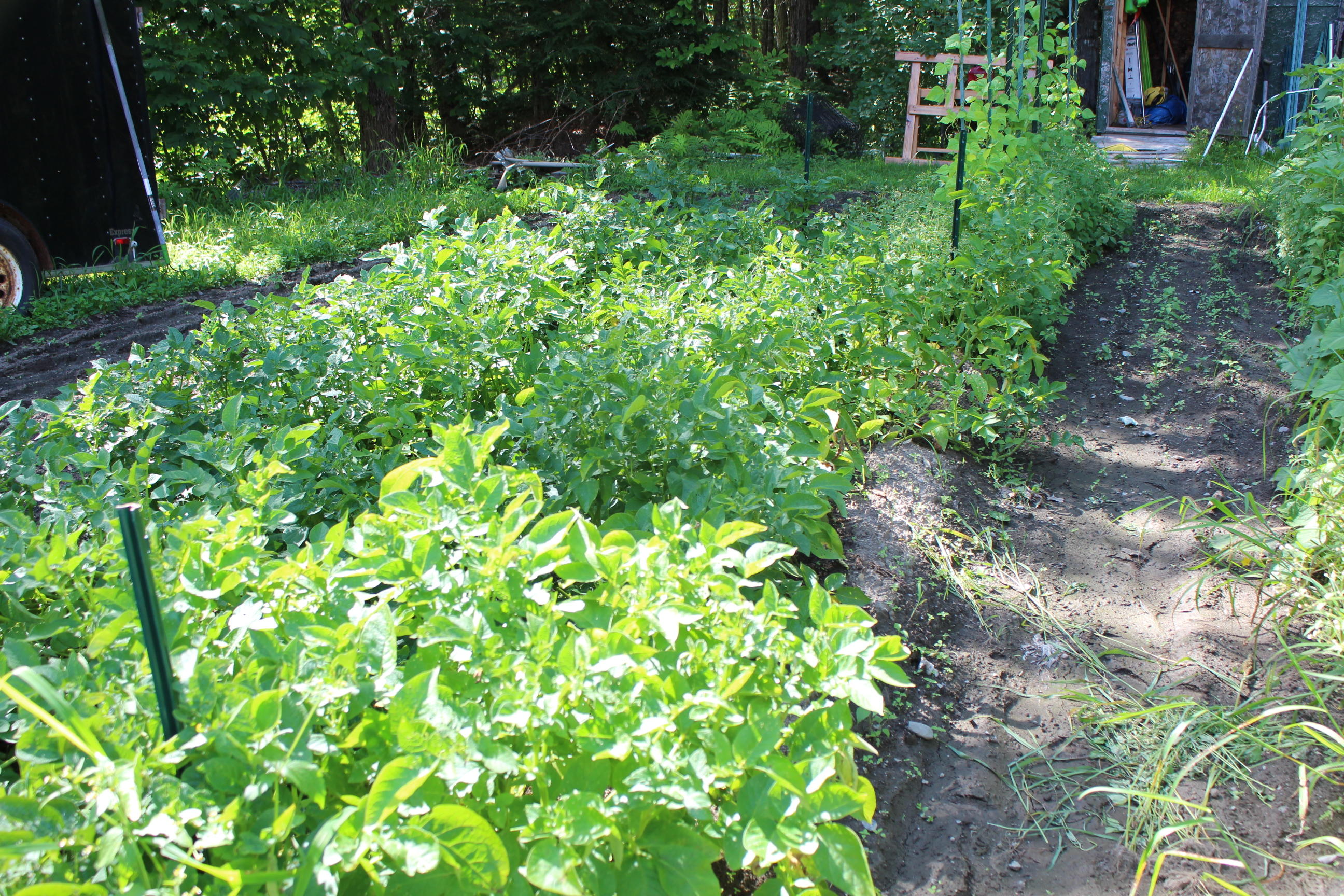 167 Pease Bridge Road Abbot, ME 04406 - Photo 14 of 18 Garden