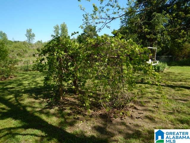 432 Lamon Chapel Loop Jasper, AL 35503 - Photo 25 of 33