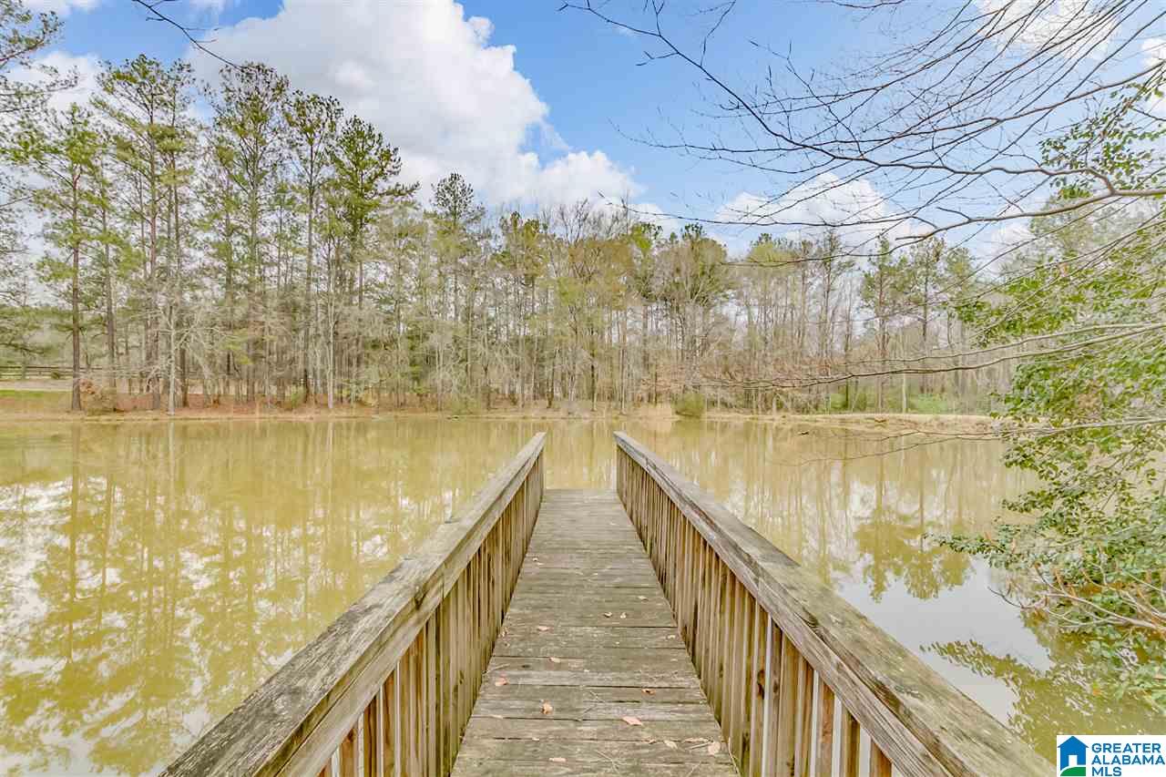 6150 Chelsea Road Columbiana, AL 35051 - Photo 45 of 50