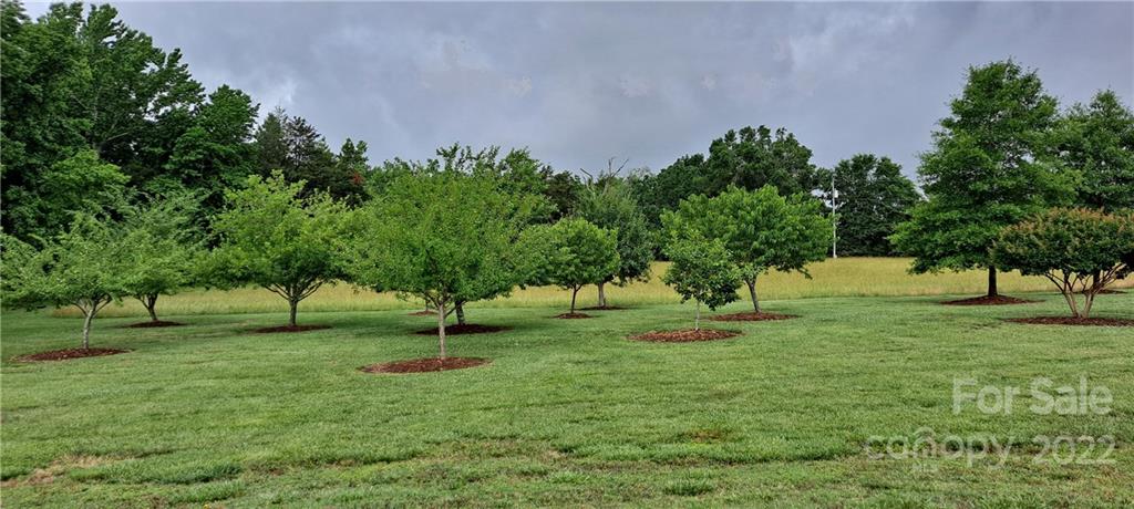 3908 Thompson Road Lancaster, SC 29720 - Photo 5 of 36 a garden view
