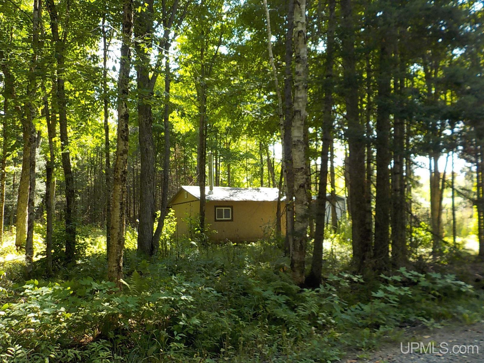 182 Wests Road Crystal Falls, MI 49920 - Photo 31 of 38