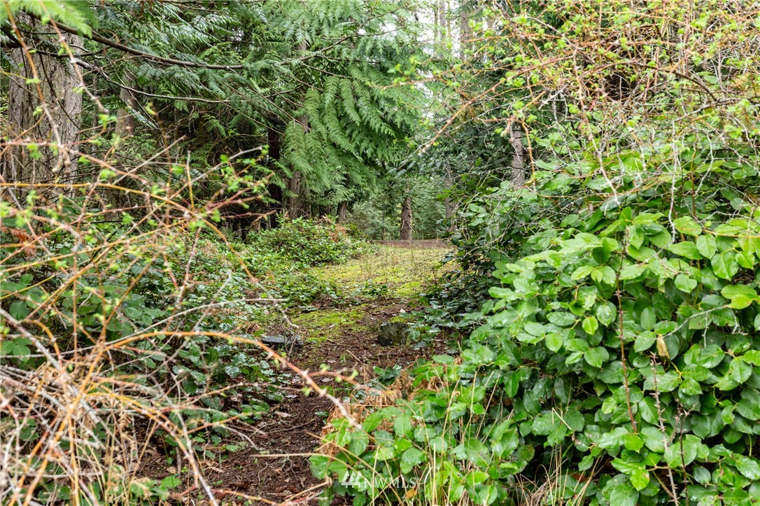 0 East Cove Road Anacortes, WA 98221 - Photo 4 of 10 Gallery Image 4