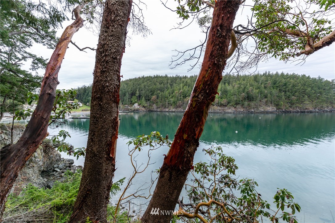 0 East Cove Road Anacortes, WA 98221 - Photo 5 of 10 Gallery Image 5
