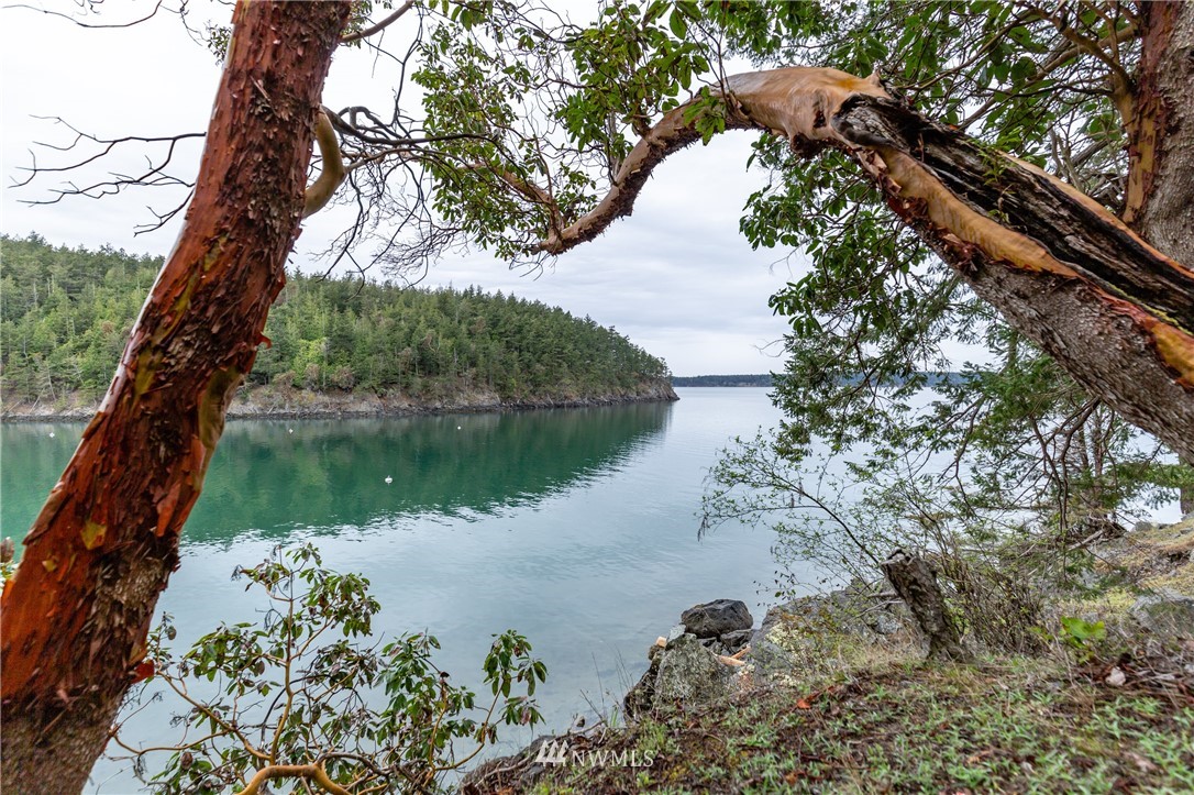 0 East Cove Road Anacortes, WA 98221 - Photo 6 of 10 Gallery Image 6