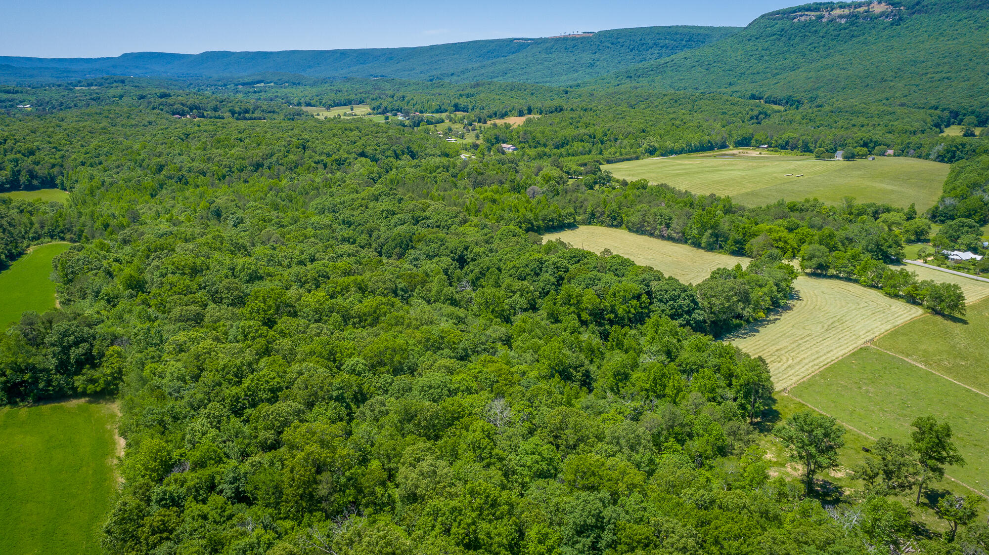 1655 West Cove Road Chickamauga, GA 30707 - Photo 61 of 62 1655 W Cove Road HD-23