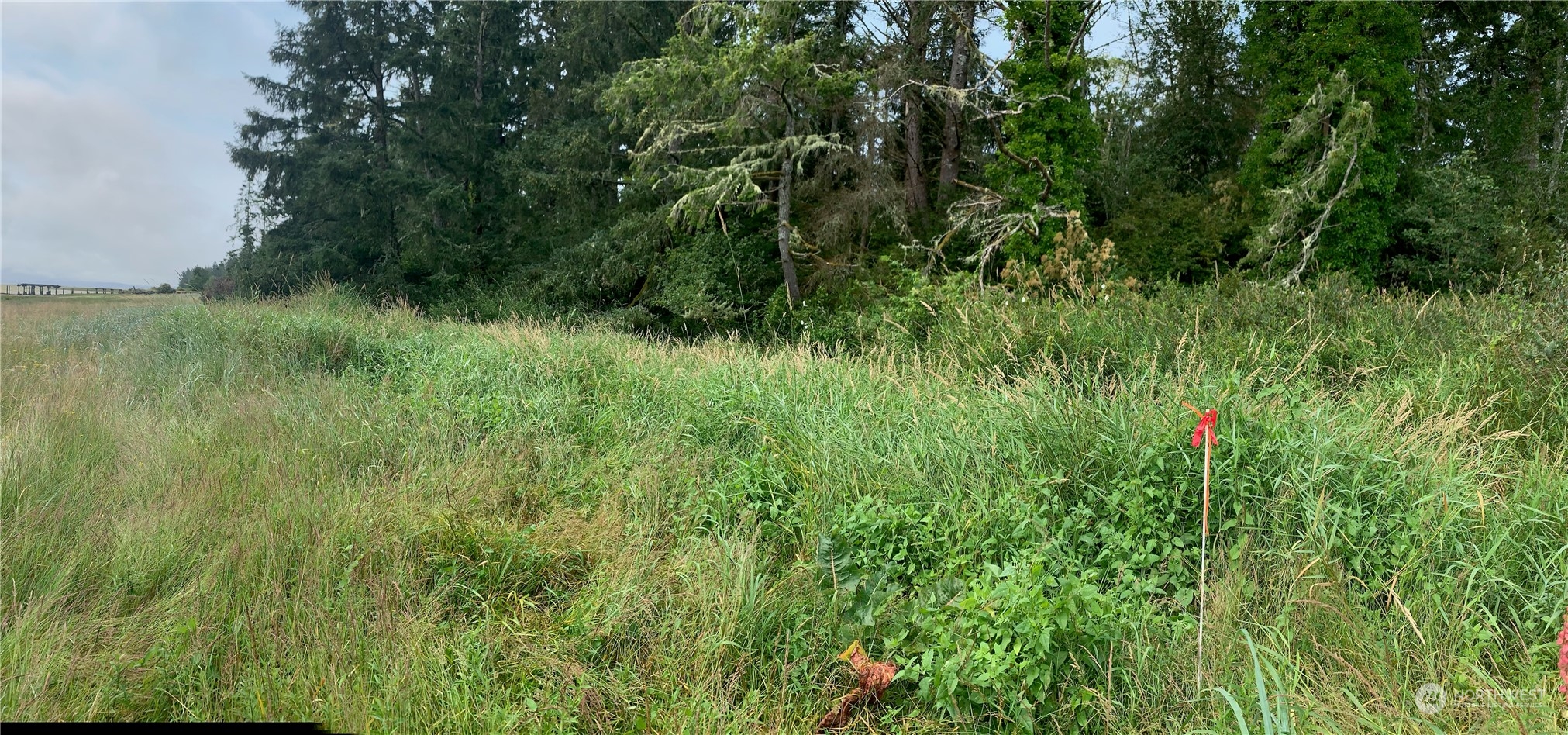 24002 Sandridge Road Ocean Park, WA 98640 - Photo 12 of 19 Gallery Image 12