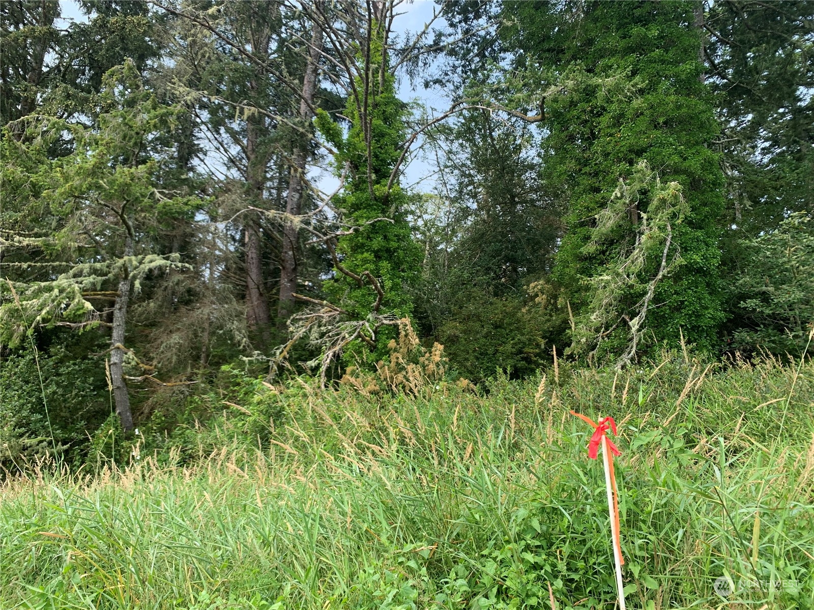 24002 Sandridge Road Ocean Park, WA 98640 - Photo 13 of 19 Gallery Image 13