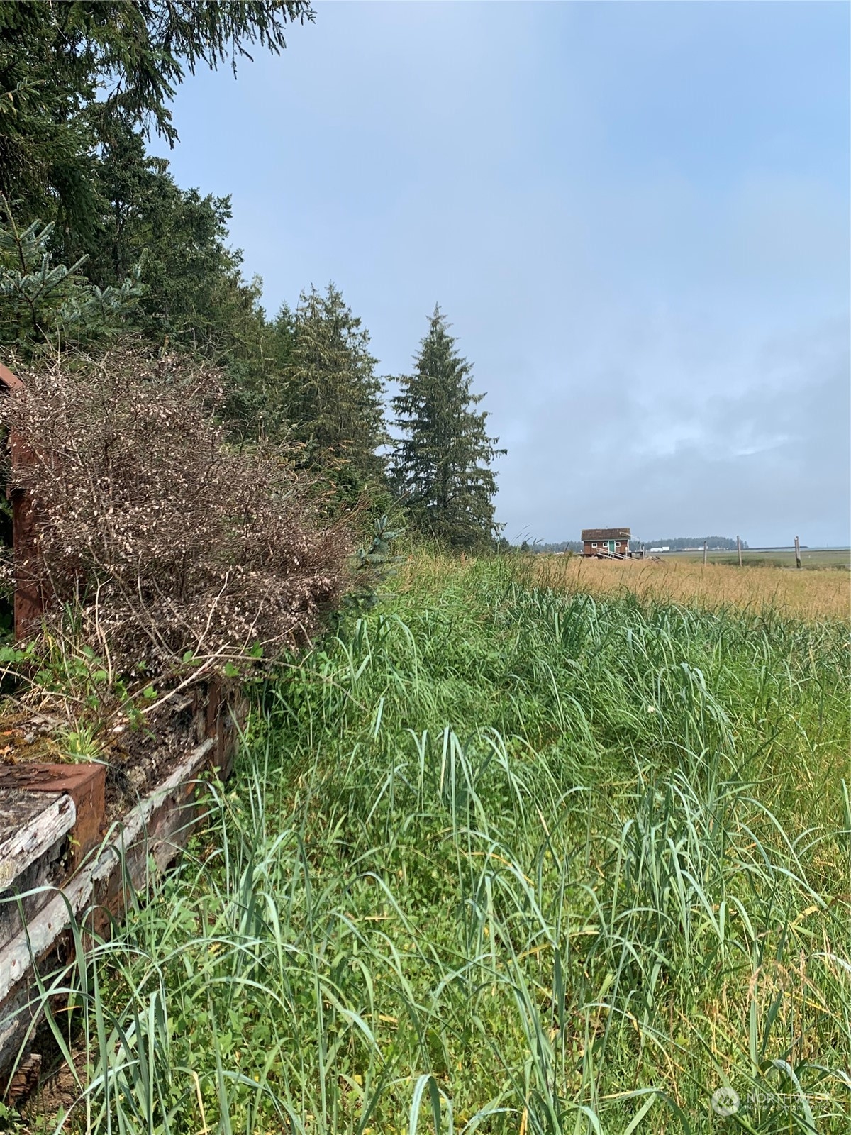 24002 Sandridge Road Ocean Park, WA 98640 - Photo 14 of 19 Gallery Image 14