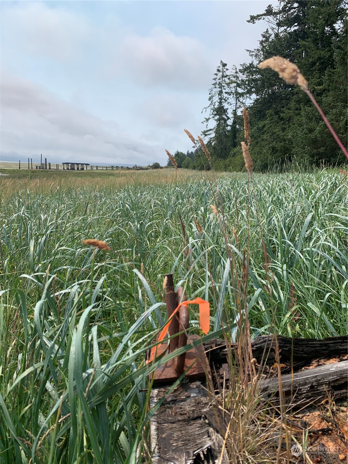 24002 Sandridge Road Ocean Park, WA 98640 - Photo 15 of 19 Gallery Image 15