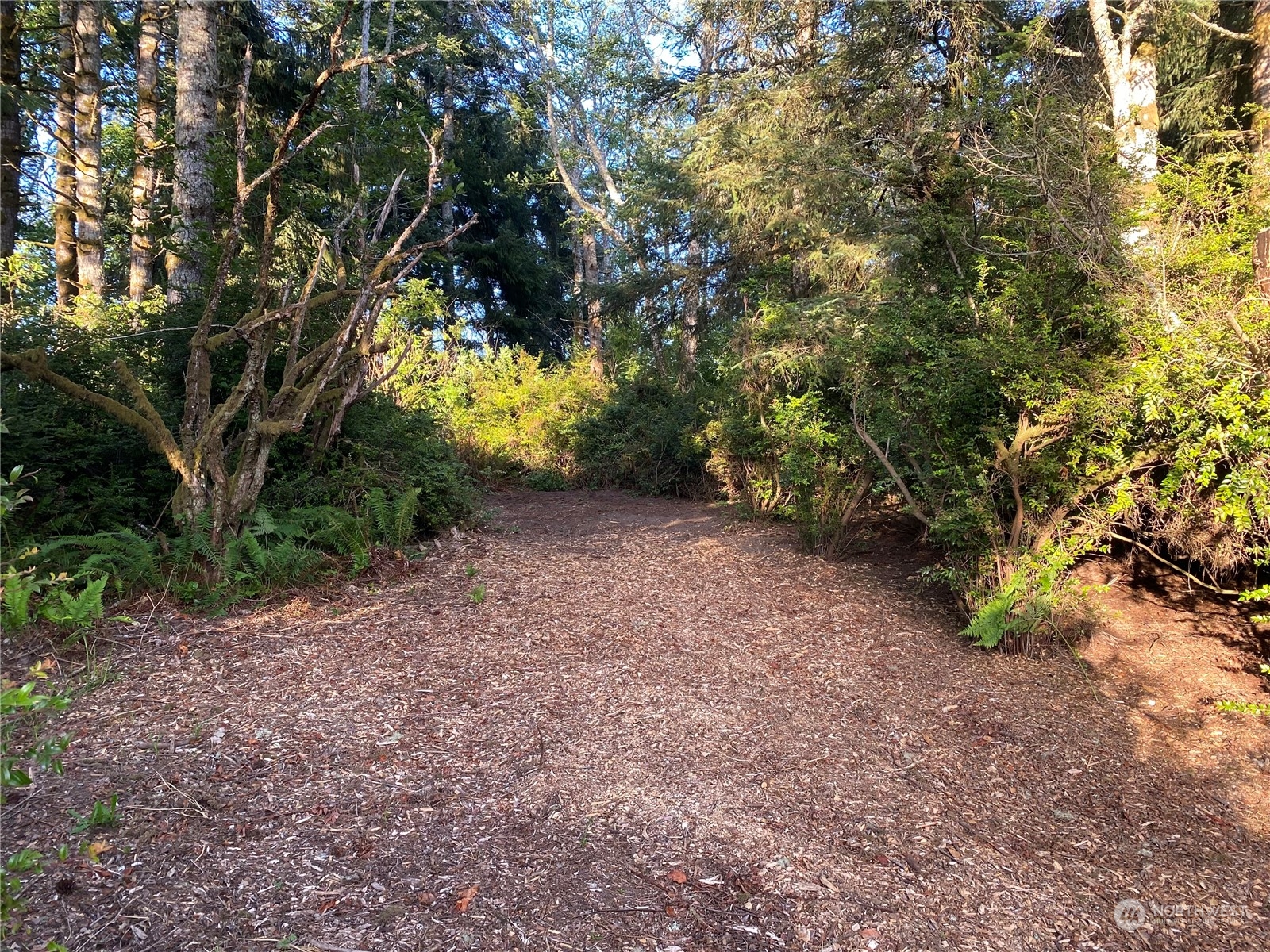 24002 Sandridge Road Ocean Park, WA 98640 - Photo 9 of 19 Gallery Image 9