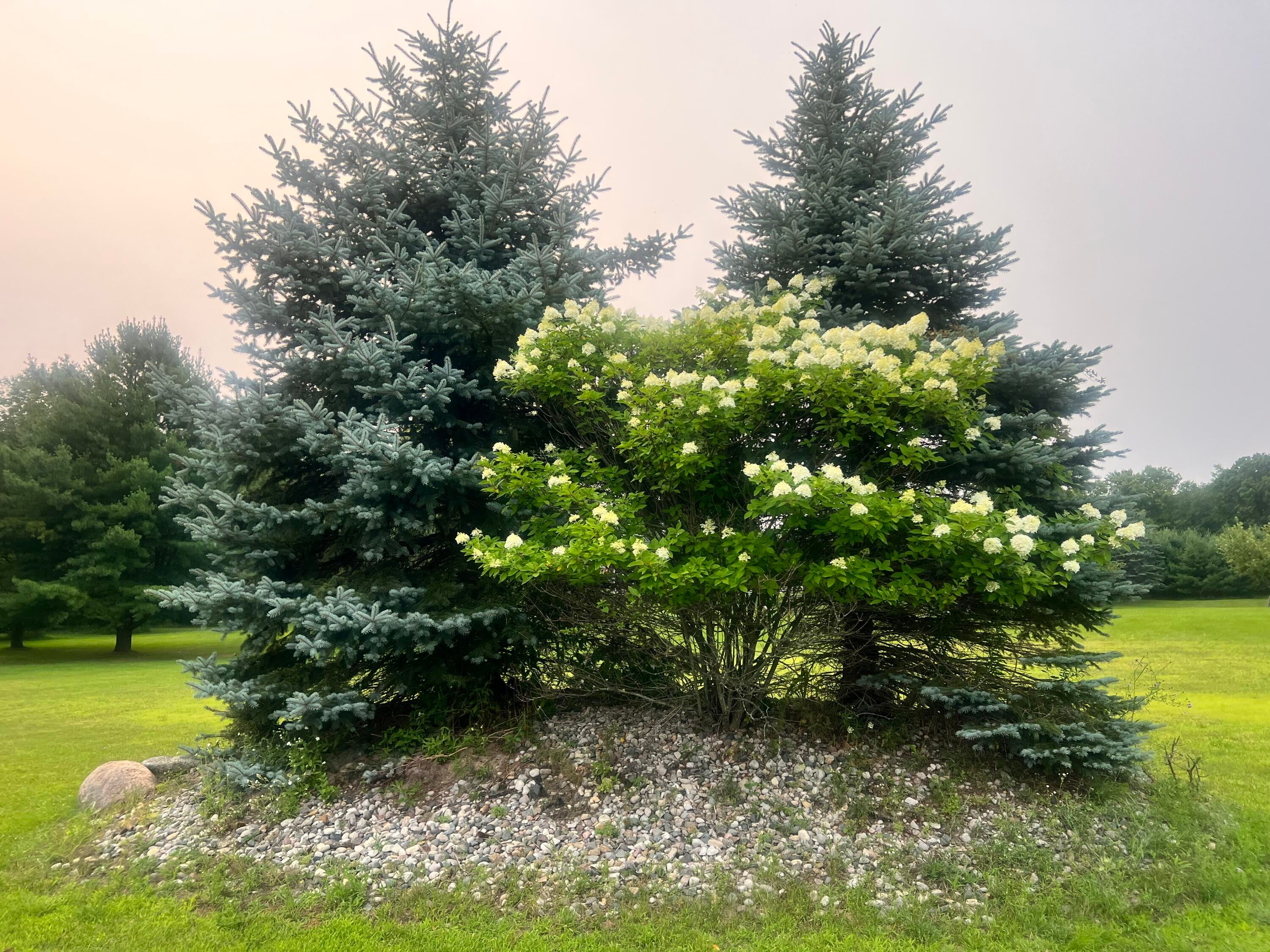4165 Stillwagon Road West Branch, MI 48661 - Photo 67 of 90 Gallery Image 67