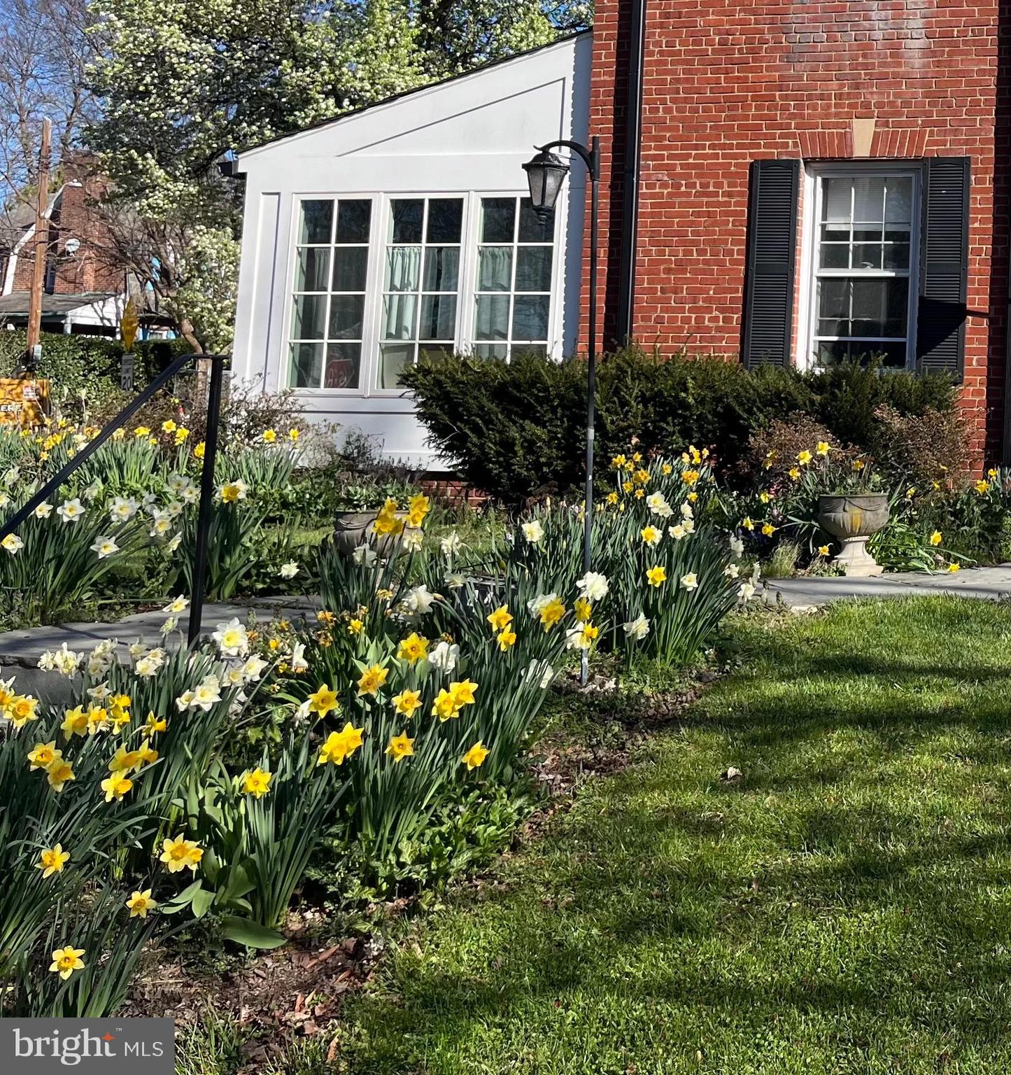 4447 Ellicott Street Northwest Washington, DC 20016 - Photo 57 of 61