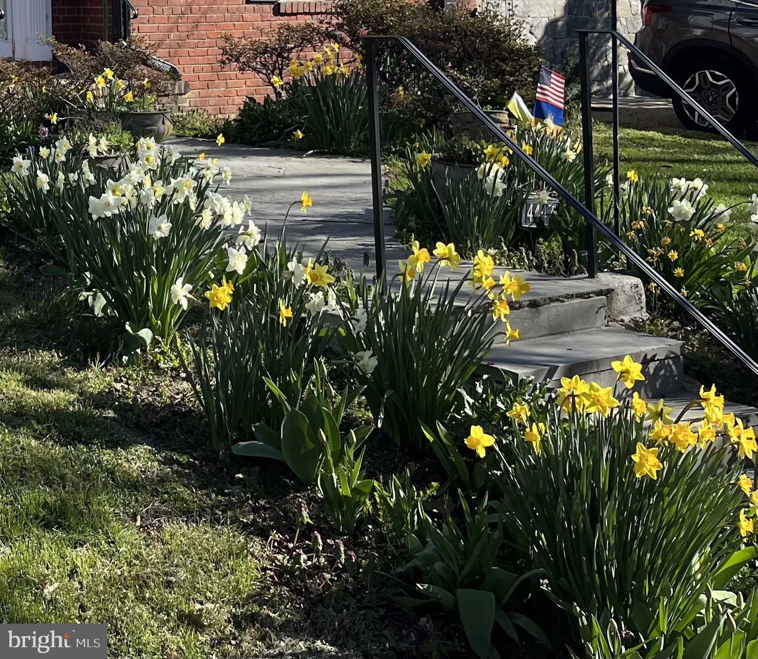 4447 Ellicott Street Northwest Washington, DC 20016 - Photo 58 of 61