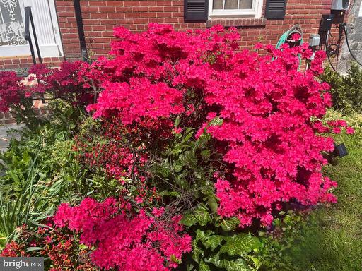 4447 Ellicott Street Northwest Washington, DC 20016 - Photo 59 of 61