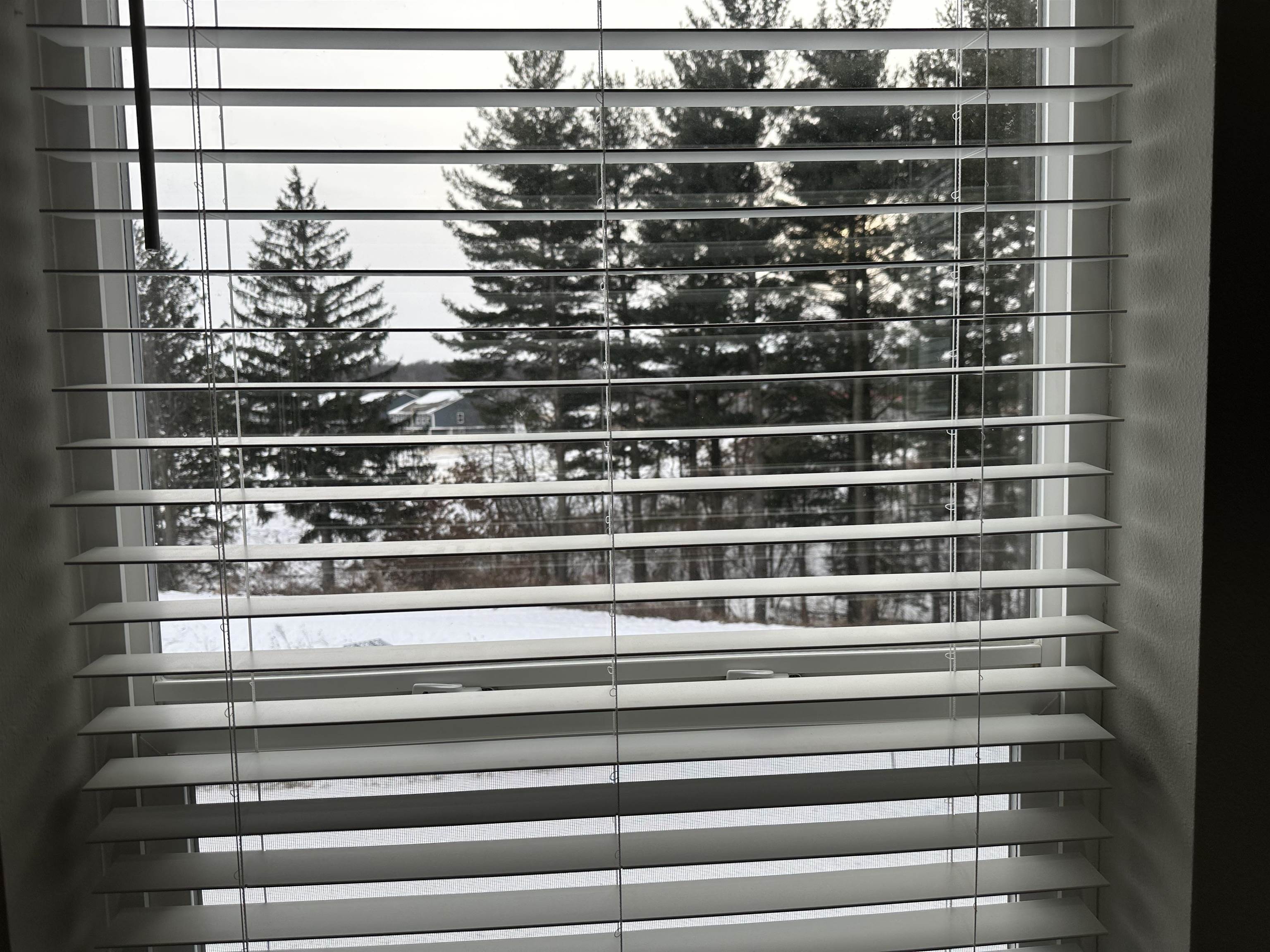 371 Bell View Avenue Belleville, WI 53508 - Photo 14 of 34