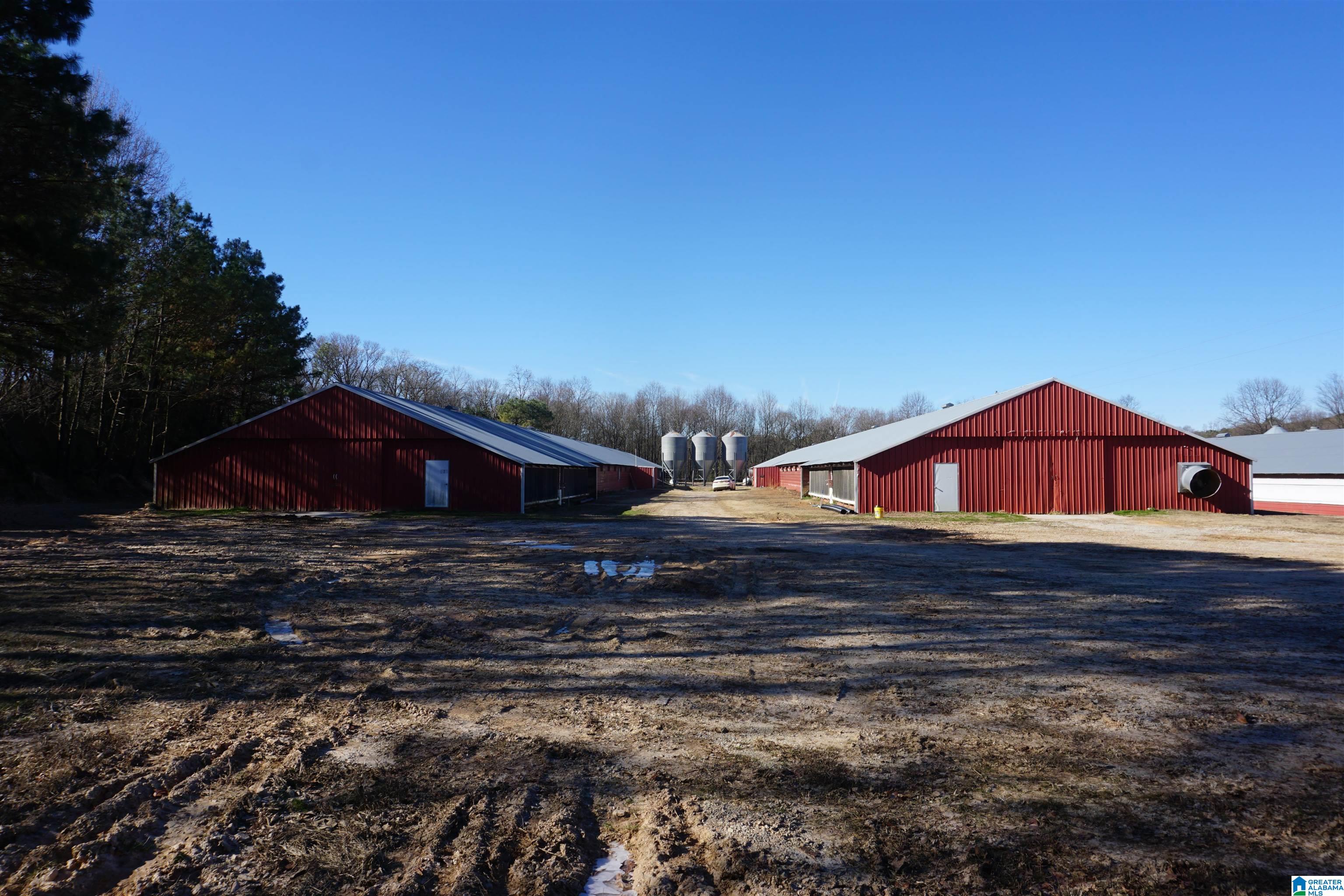 10171 County Road 87 Roanoke, AL 36274 - Photo 36 of 42