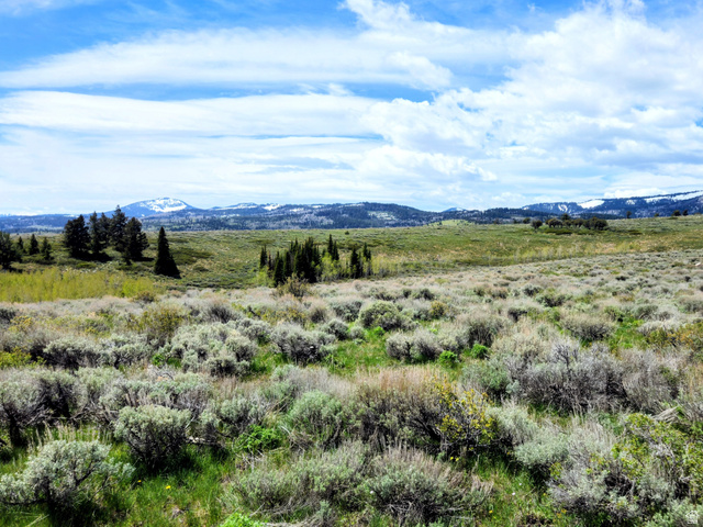4005 Mill Canyon Road Montpelier, ID 83254 - Photo 1 of 6 Expansive natural landscape featuring varied green foliage and distant snow-capped mountains