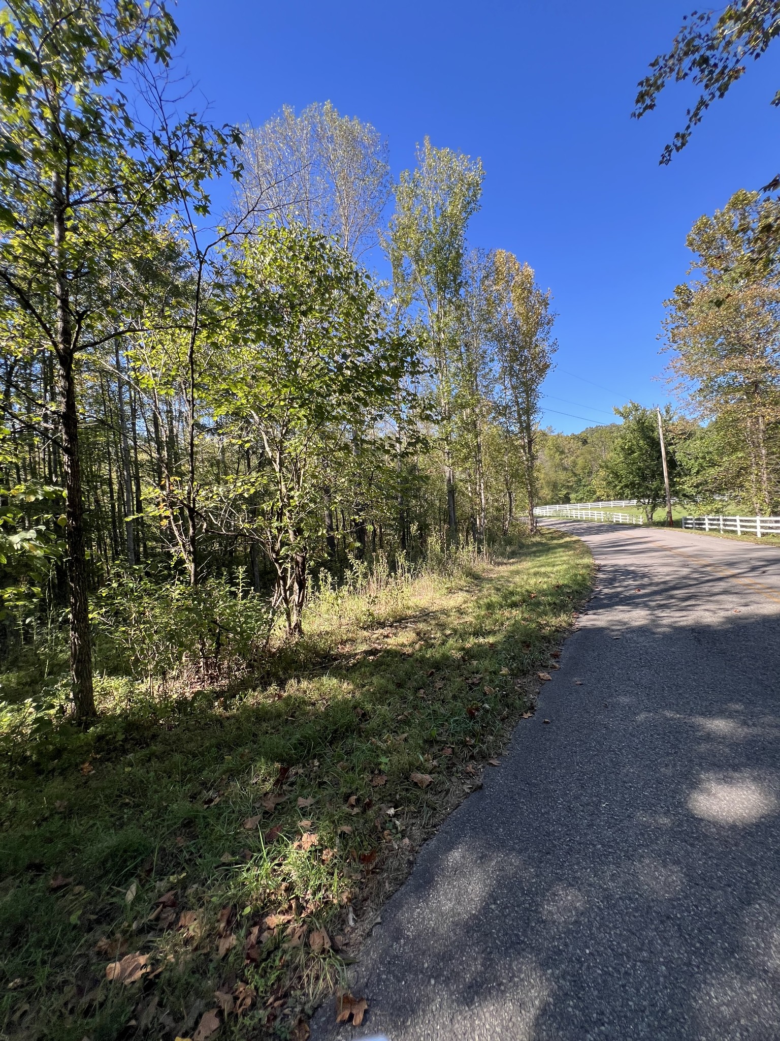 0 Tobaccoport Road Bumpus Mills, TN 37028 - Photo 3 of 16 a view of a yard with a tree