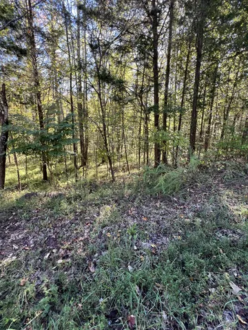 a view of outdoor space with lots of green space