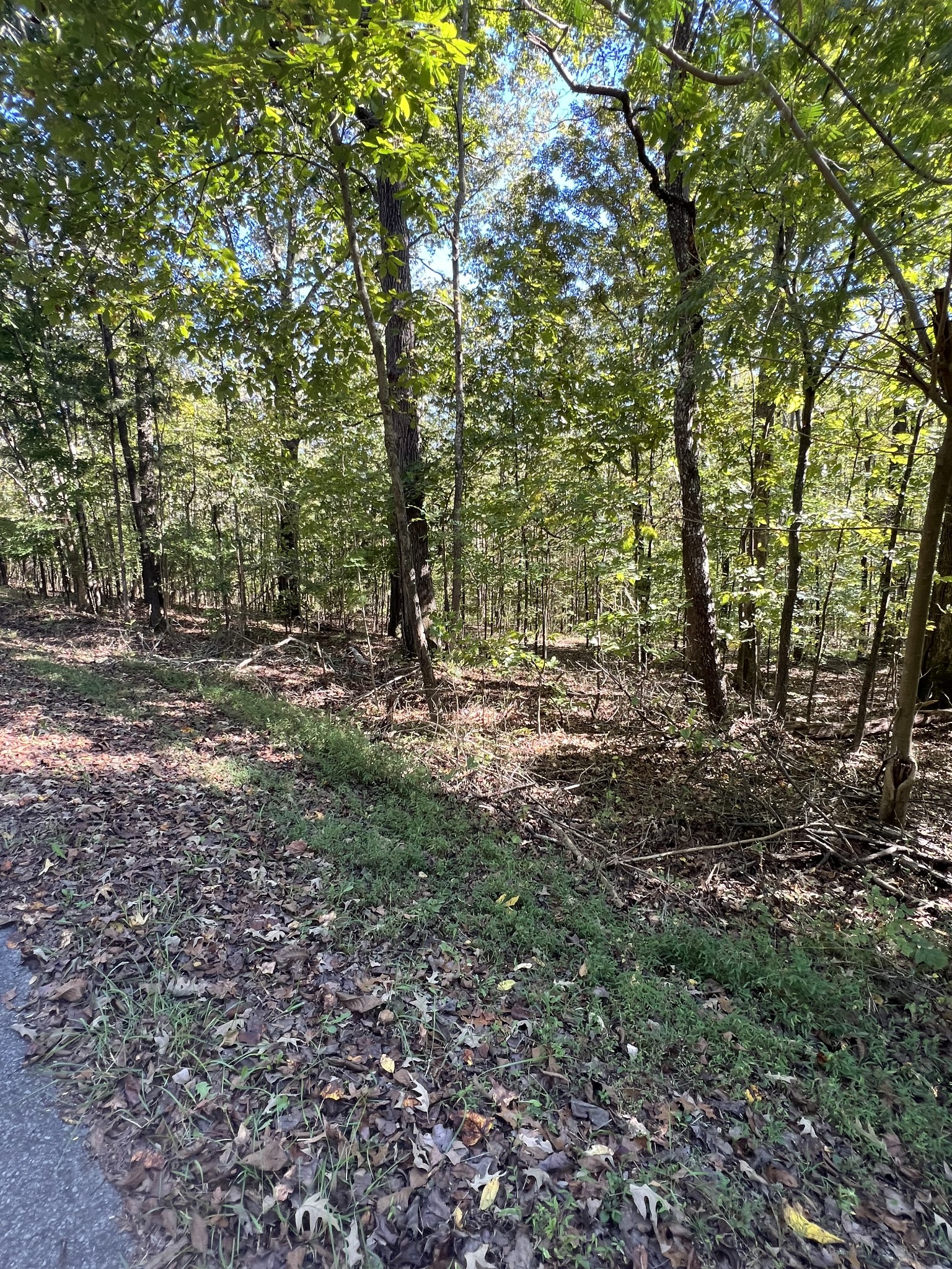 0 Tobaccoport Road Bumpus Mills, TN 37028 - Photo 6 of 16 a view of outdoor space and trees