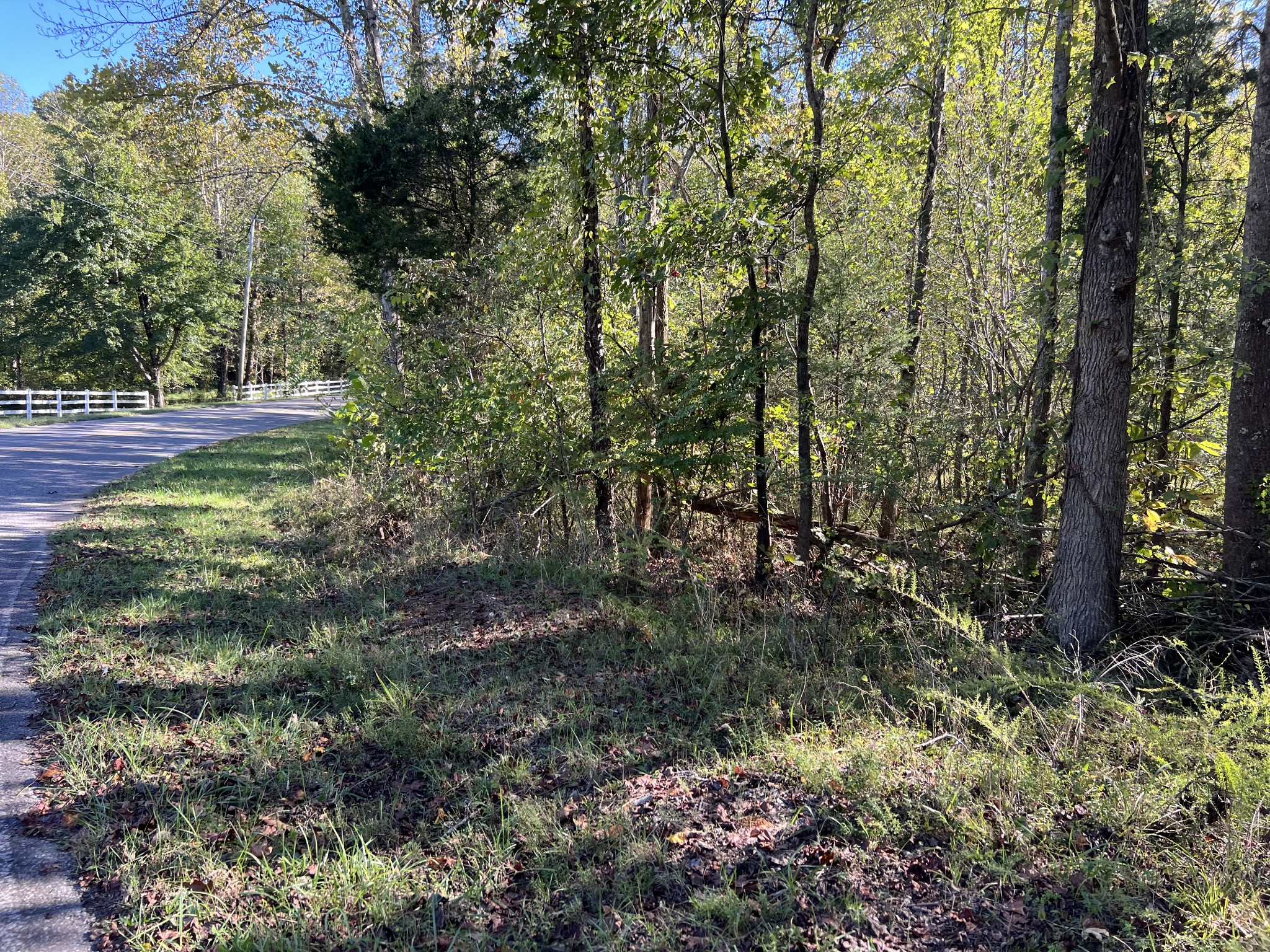 0 Tobaccoport Road Bumpus Mills, TN 37028 - Photo 10 of 16 a view of backyard with green space