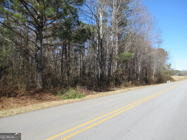 5050 Stateline Road Bowdon, GA 30108 - Photo 2 of 6