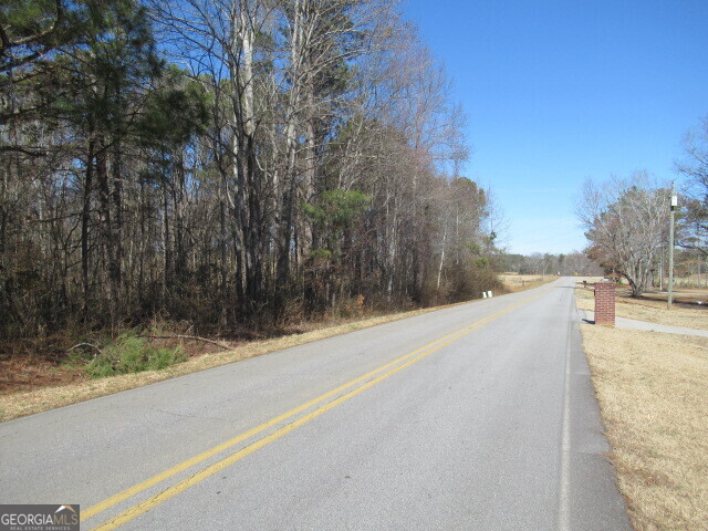 5050 Stateline Road Bowdon, GA 30108 - Photo 3 of 6