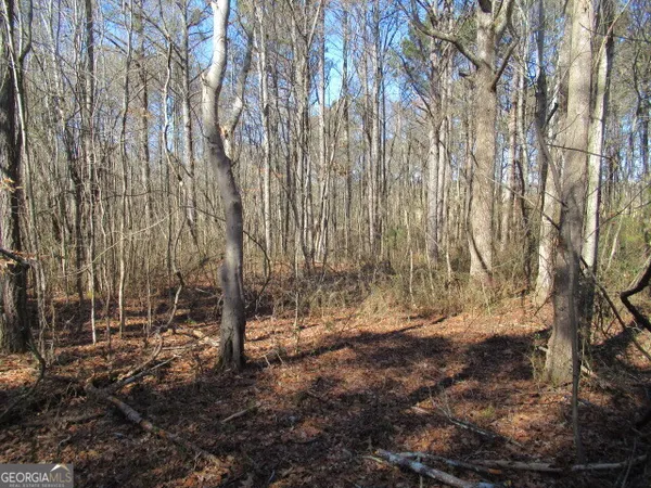 $100,000 | 5050 Stateline Road, Bowdon, GA 30108