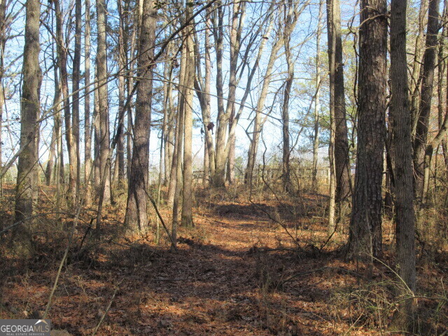 5050 Stateline Road Bowdon, GA 30108 - Photo 6 of 6