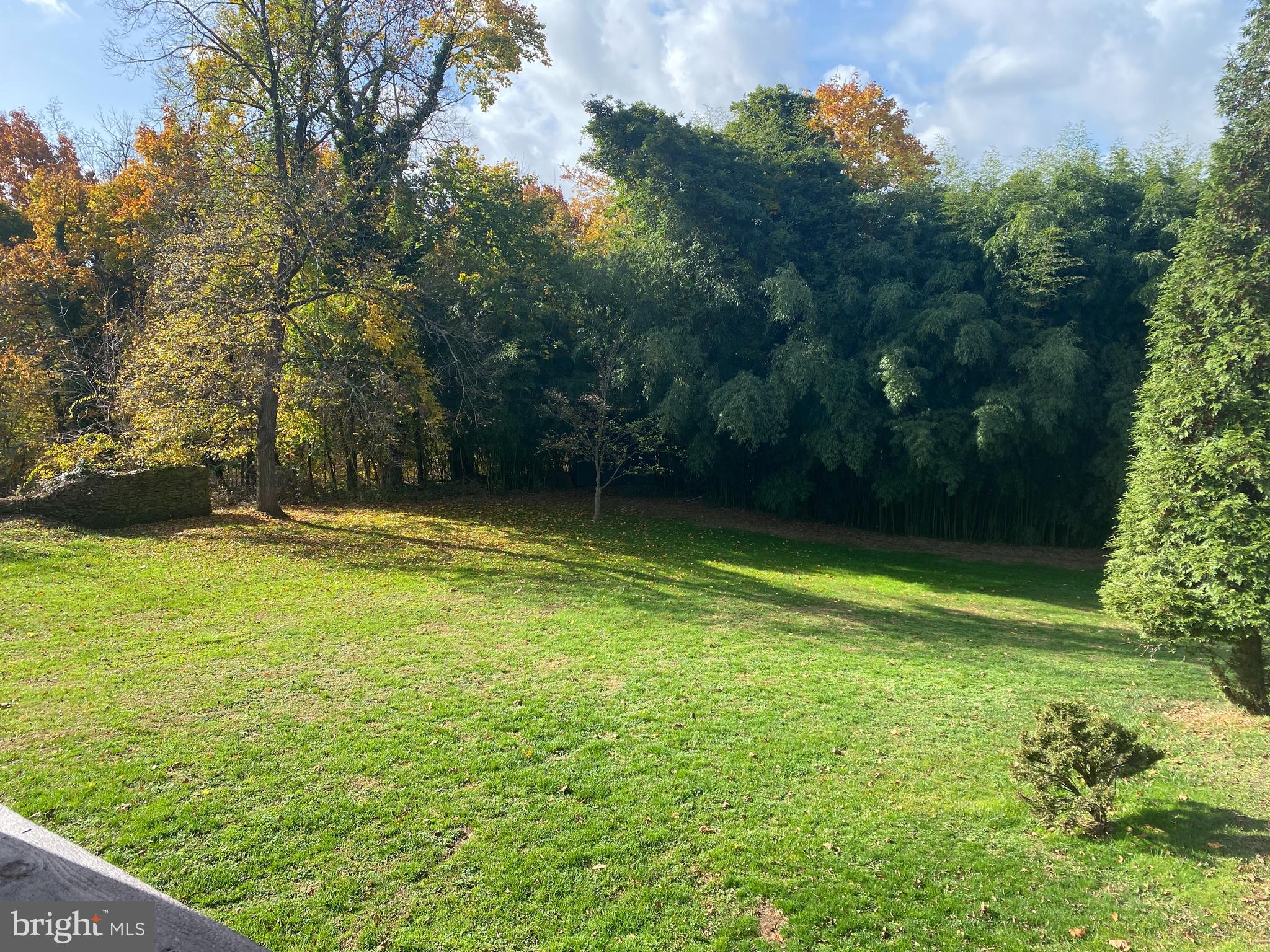 224 Pinetown Road, Unit GARAGE B Audubon, PA 19403 - Photo 4 of 26 Side Deck View