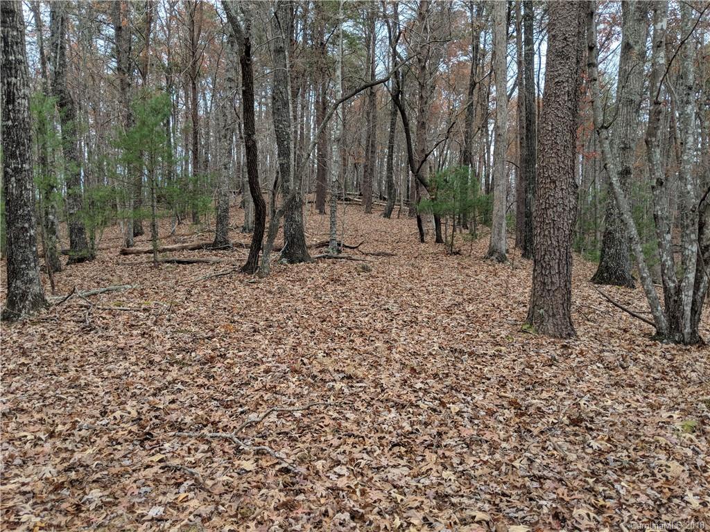 Lot 2 South B S Cove Rd Mill Spring, Unit 2B Mill Spring, NC 28756 - Photo 14 of 25