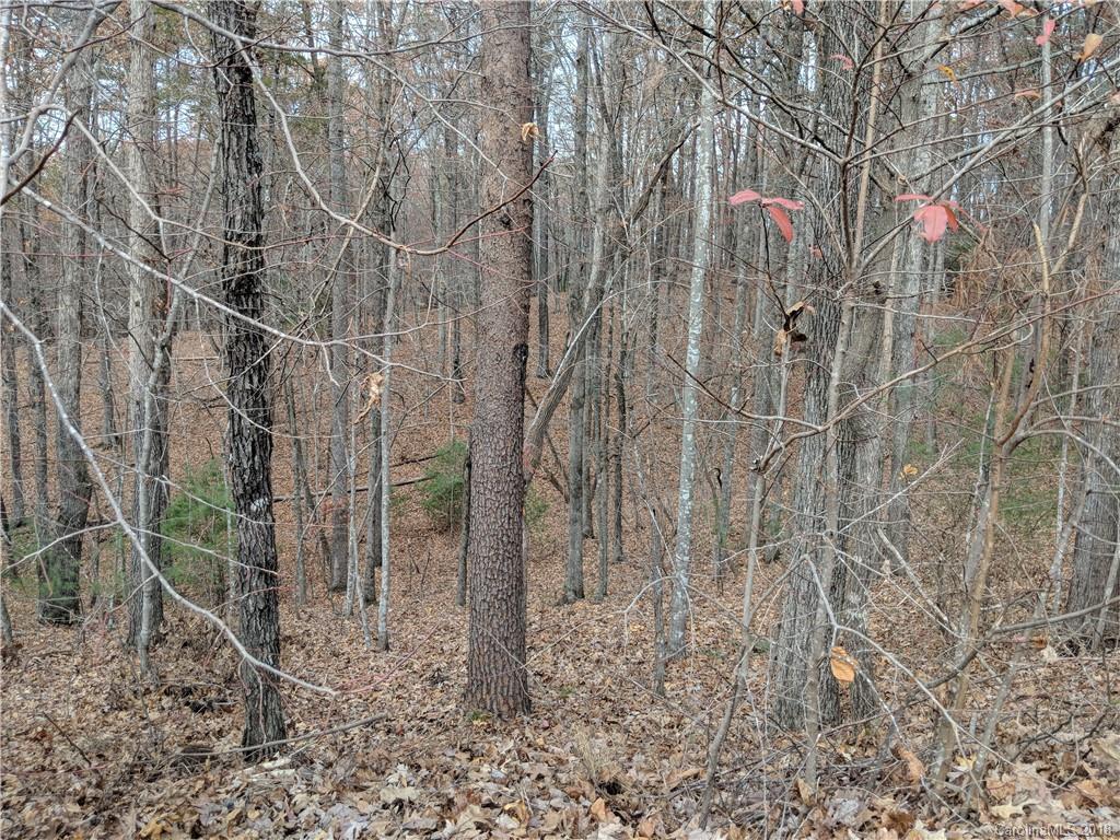 Lot 2 South B S Cove Rd Mill Spring, Unit 2B Mill Spring, NC 28756 - Photo 3 of 25