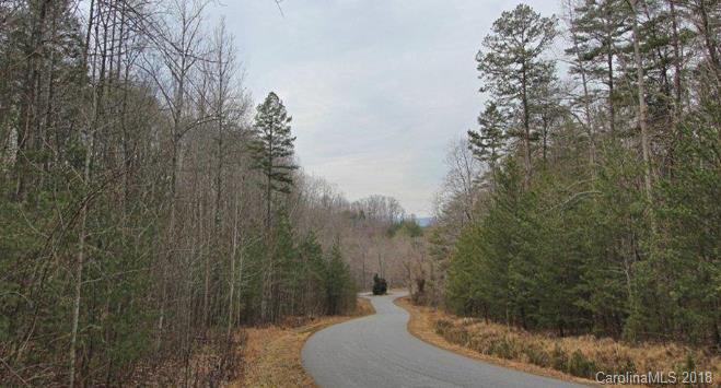 Lot 2 South B S Cove Rd Mill Spring, Unit 2B Mill Spring, NC 28756 - Photo 22 of 25