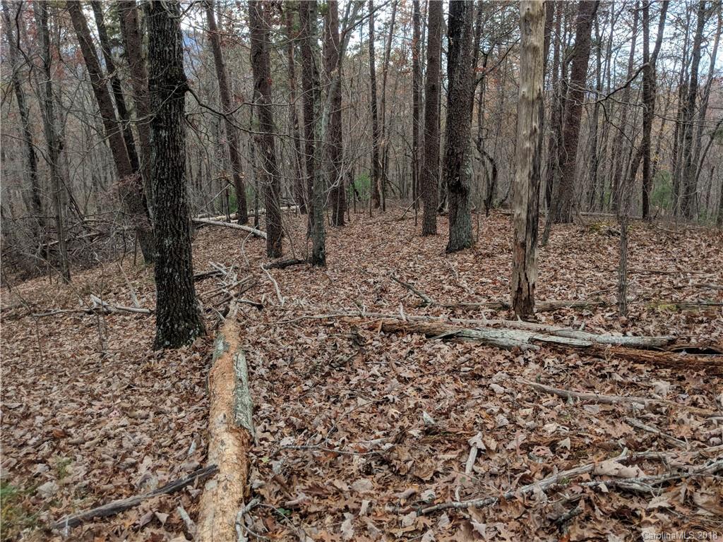 Lot 2 South B S Cove Rd Mill Spring, Unit 2B Mill Spring, NC 28756 - Photo 8 of 25