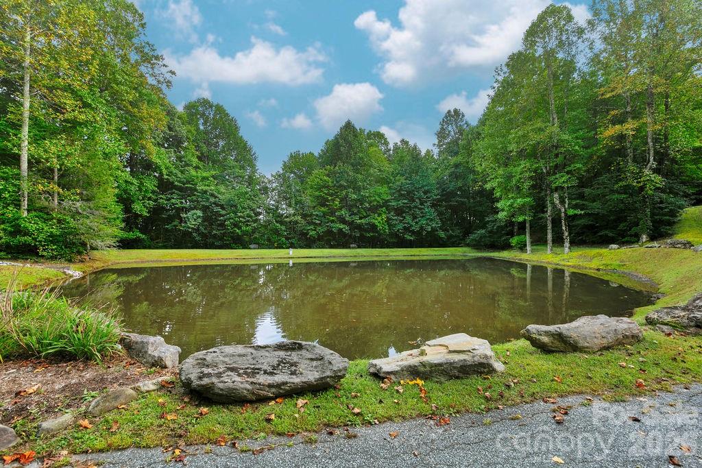 Lot 51 Waddle Branch Road, Unit 51 Sapphire, NC 28774 - Photo 11 of 13 Gallery Image 11