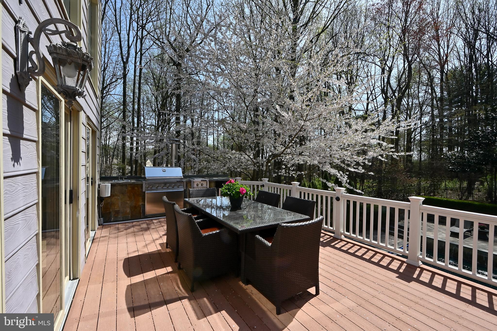 10303 Forest Maple Road Vienna, VA 22182 - Photo 45 of 55 Deck with Builtin Grill