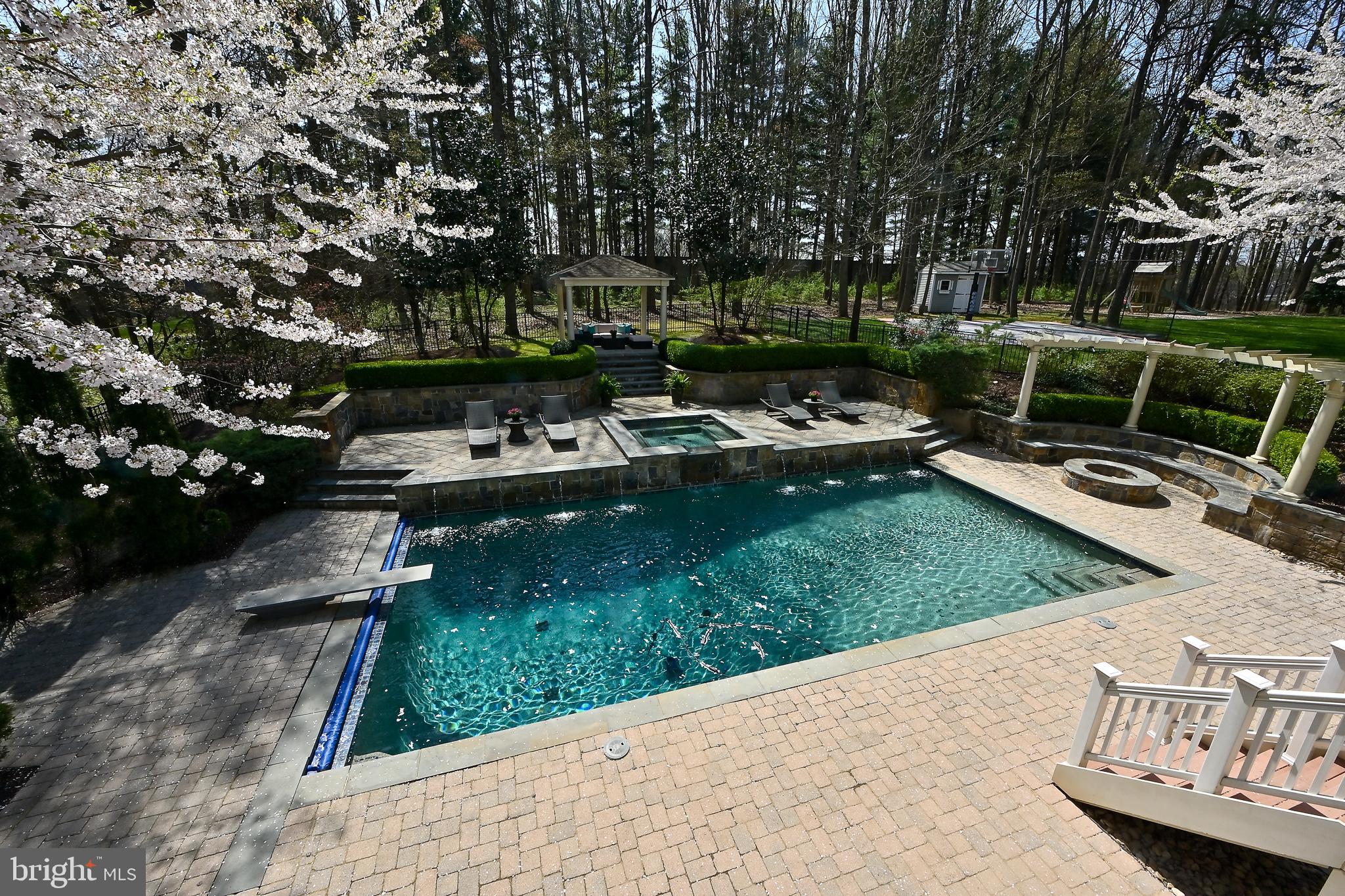 10303 Forest Maple Road Vienna, VA 22182 - Photo 48 of 55 Pool